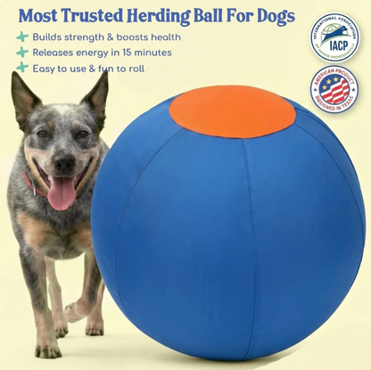The Herding Ball Engineered to Be Indestructible for the toughest chewers