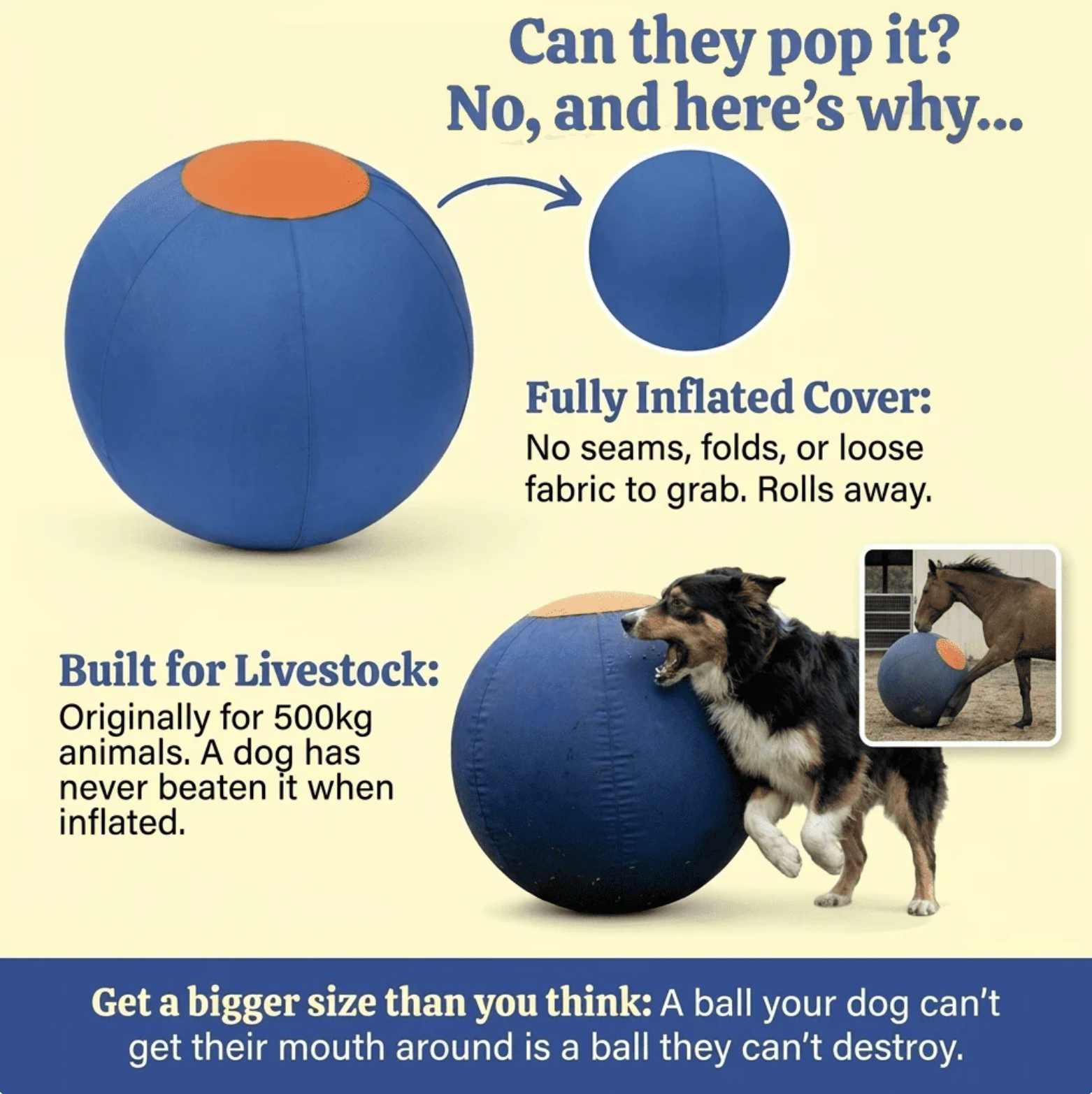 The Herding Ball Engineered to Be Indestructible for the toughest chewers