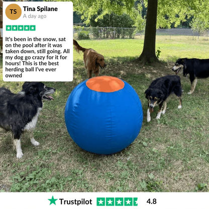 The Herding Ball Engineered to Be Indestructible for the toughest chewers