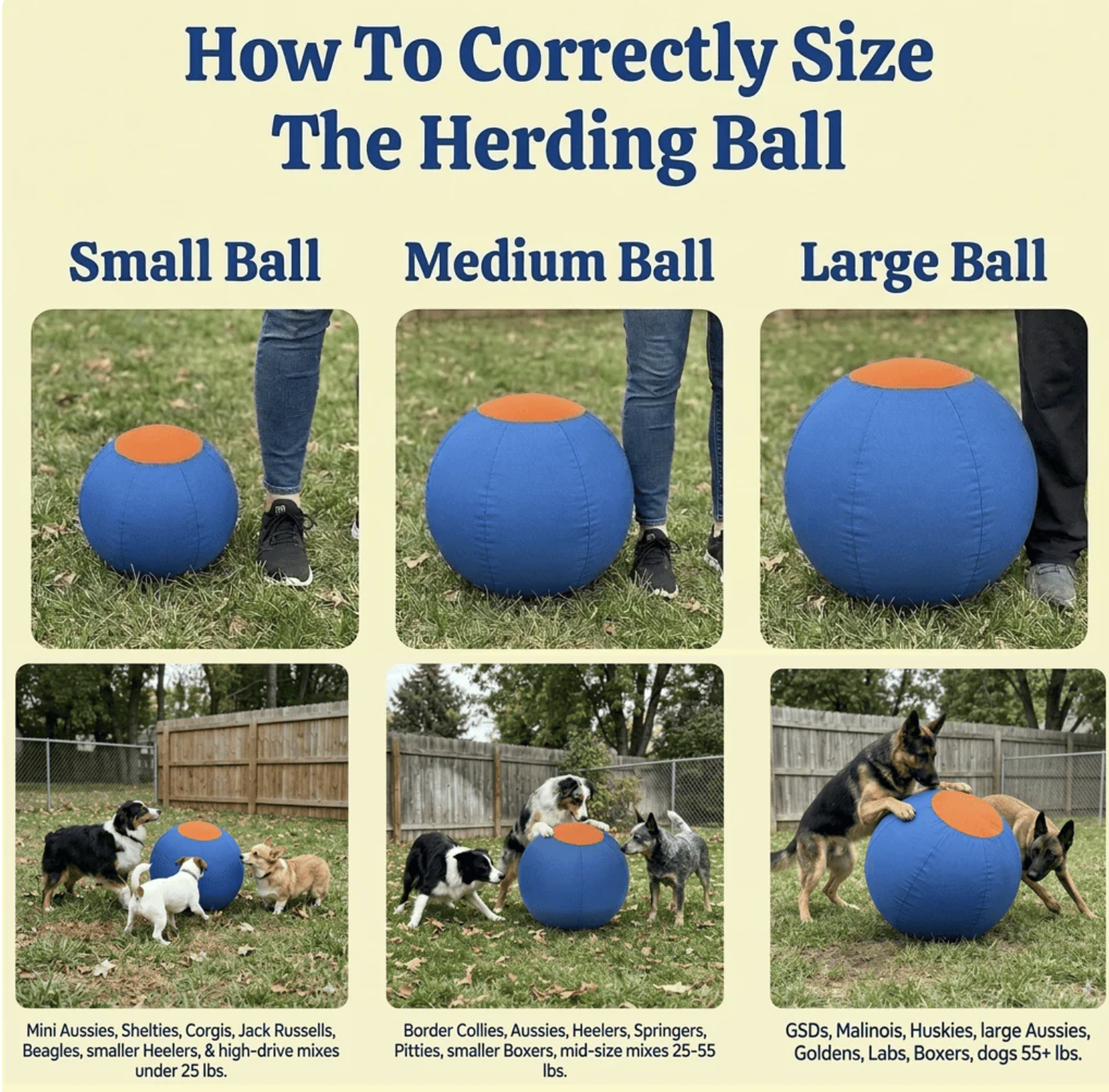 The Herding Ball Engineered to Be Indestructible for the toughest chewers