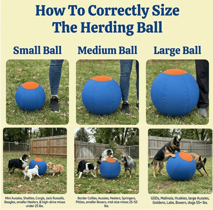 The Herding Ball Engineered to Be Indestructible for the toughest chewers