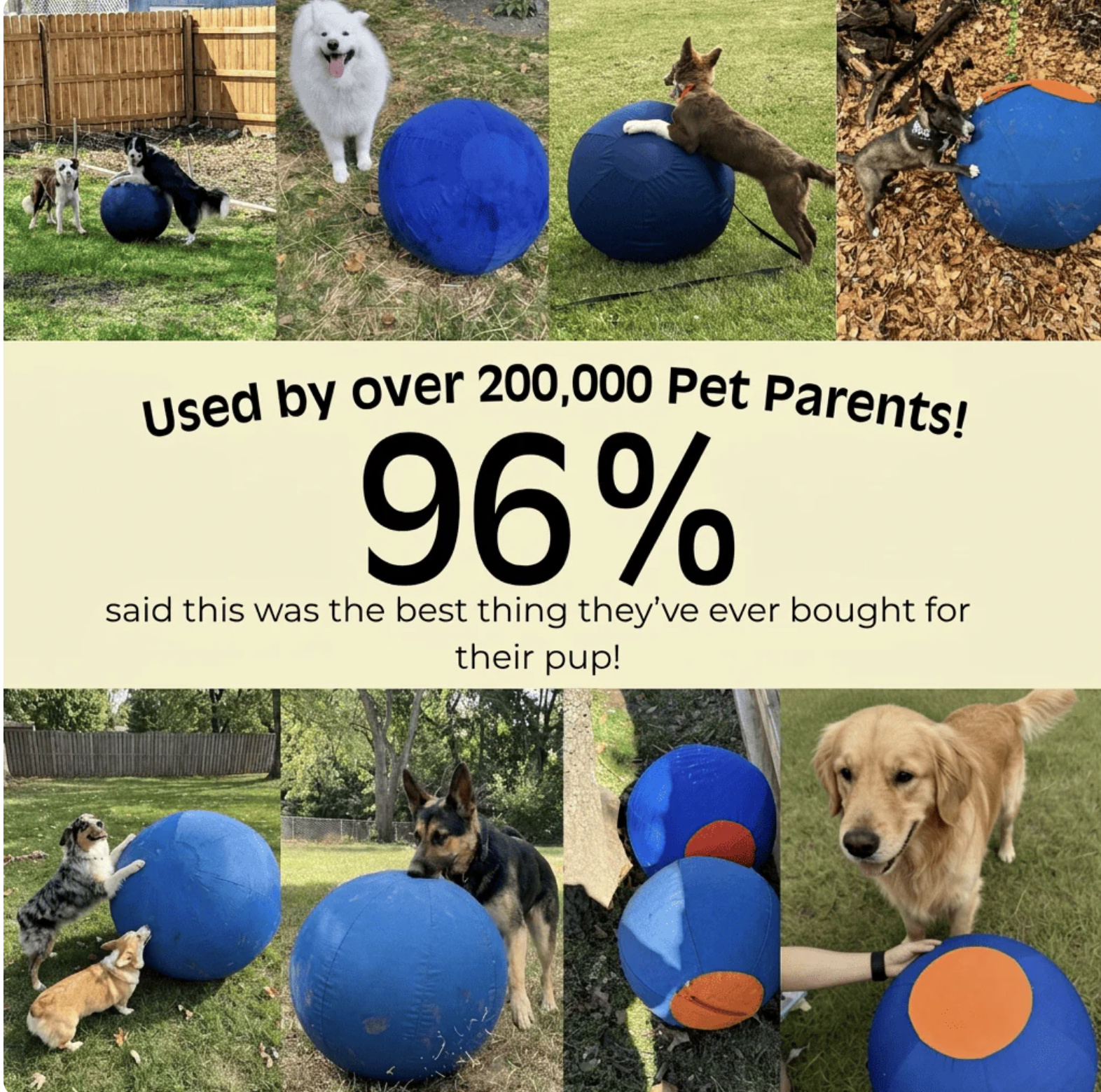 The Herding Ball Engineered to Be Indestructible for the toughest chewers