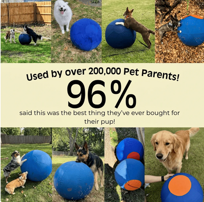 The Herding Ball Engineered to Be Indestructible for the toughest chewers