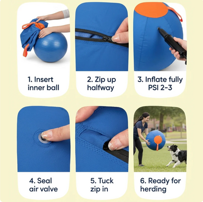 The Herding Ball Engineered to Be Indestructible for the toughest chewers