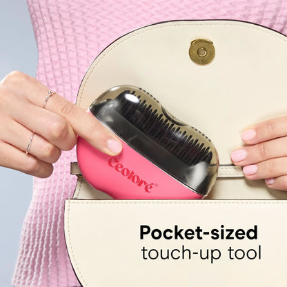 Portable Frizz Control Styling Brush for Shine, 2 Heat Settings up to 360°F
