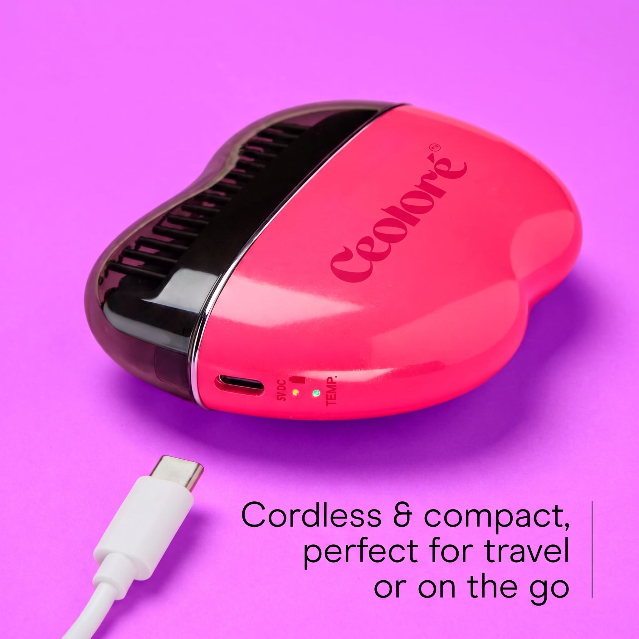 Portable Frizz Control Styling Brush for Shine, 2 Heat Settings up to 360°F