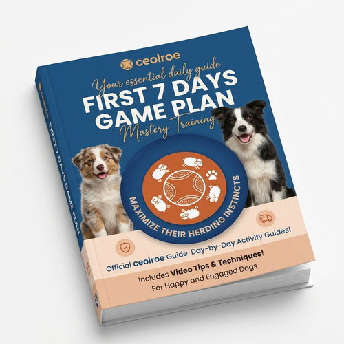 First 7 Days Game Plan