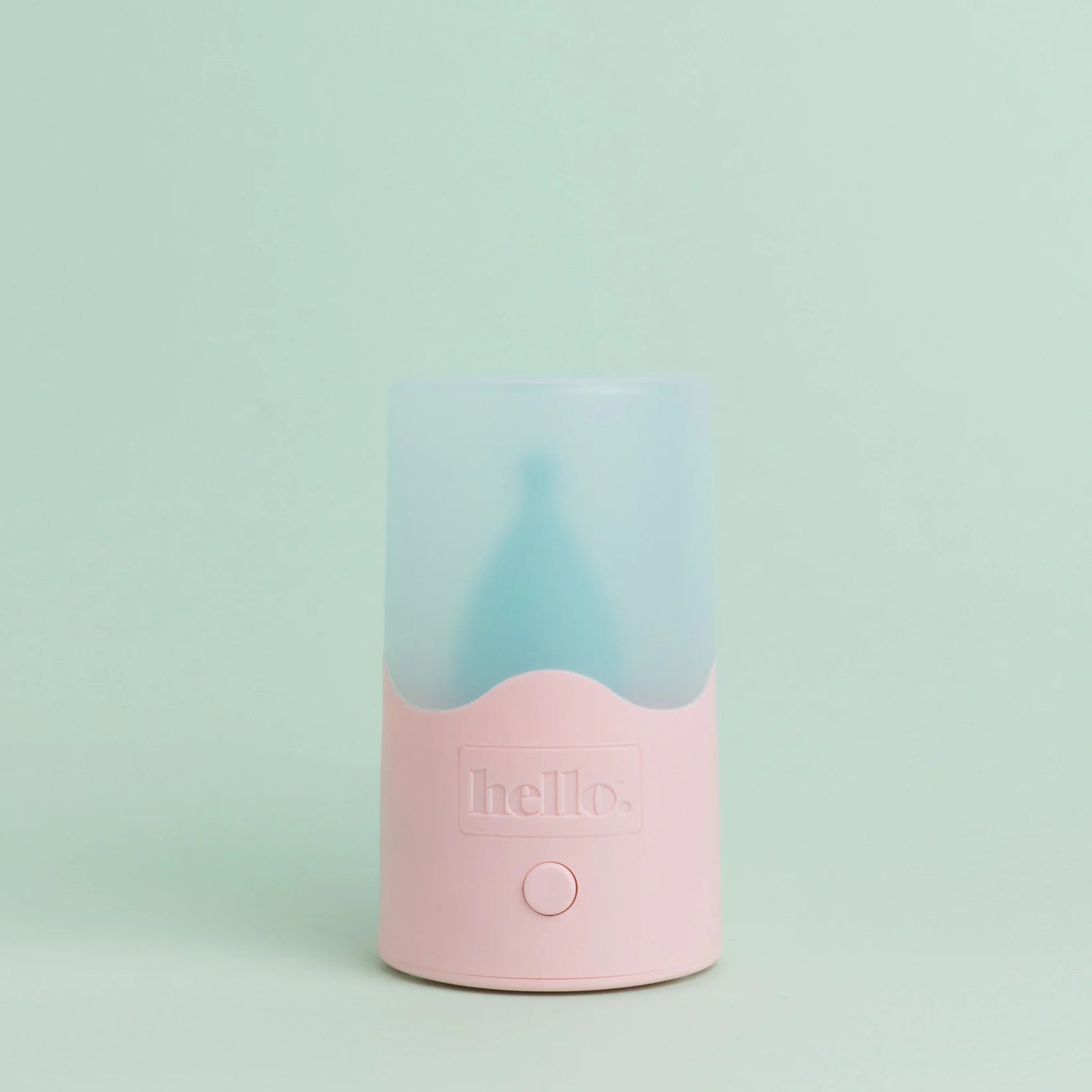 Steam Steriliser